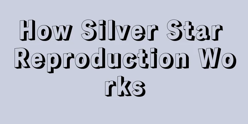 How Silver Star Reproduction Works