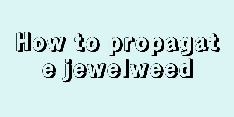 How to propagate jewelweed