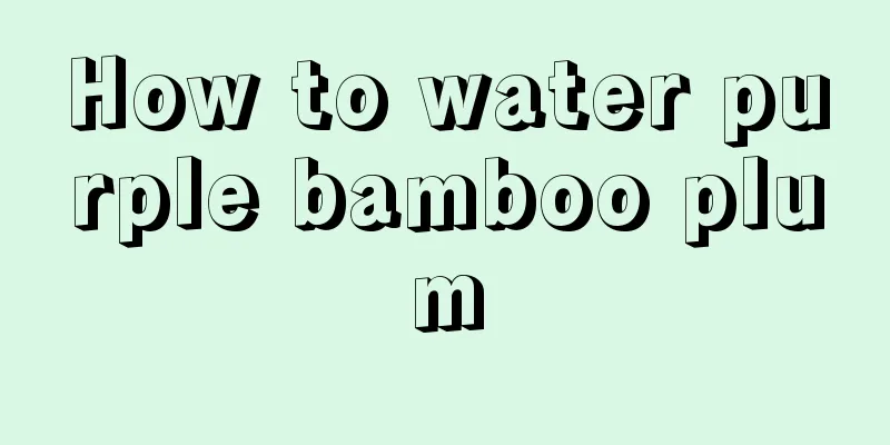 How to water purple bamboo plum