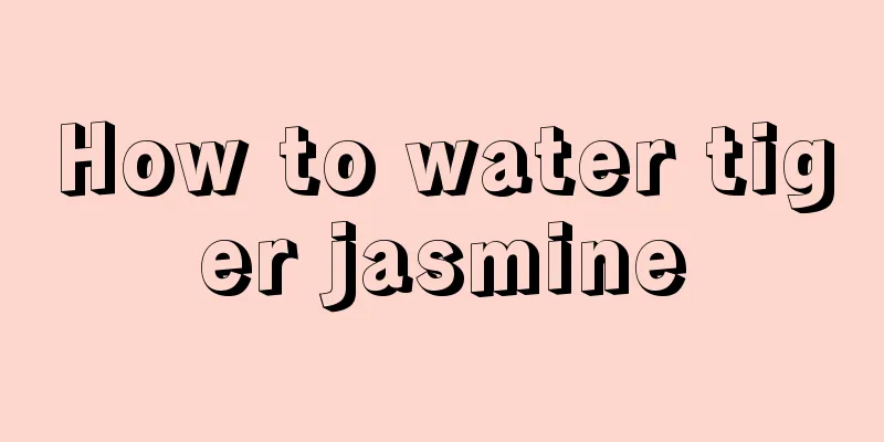 How to water tiger jasmine