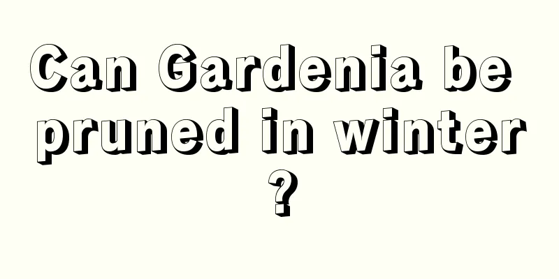 Can Gardenia be pruned in winter?