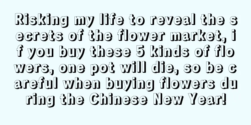 Risking my life to reveal the secrets of the flower market, if you buy these 5 kinds of flowers, one pot will die, so be careful when buying flowers during the Chinese New Year!