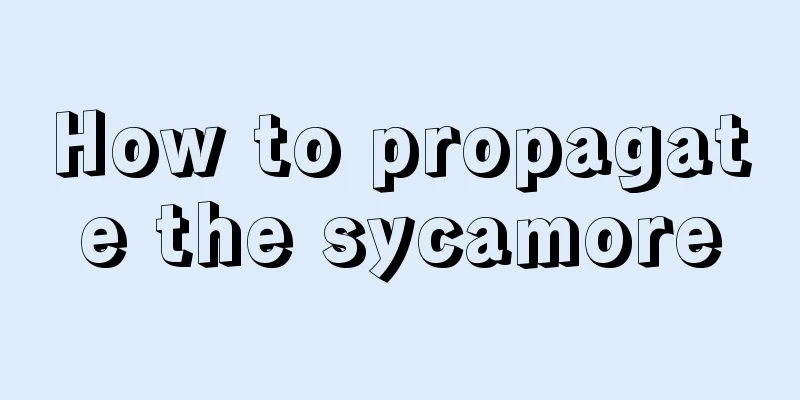 How to propagate the sycamore