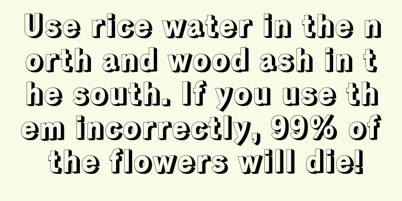 Use rice water in the north and wood ash in the south. If you use them incorrectly, 99% of the flowers will die!