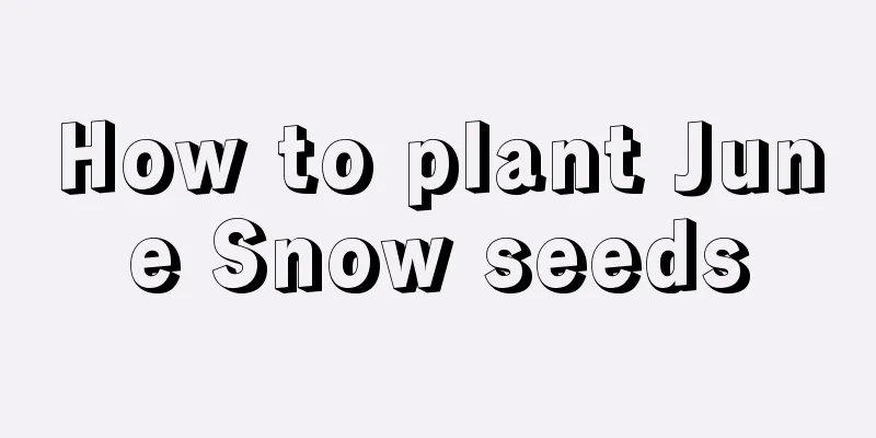 How to plant June Snow seeds