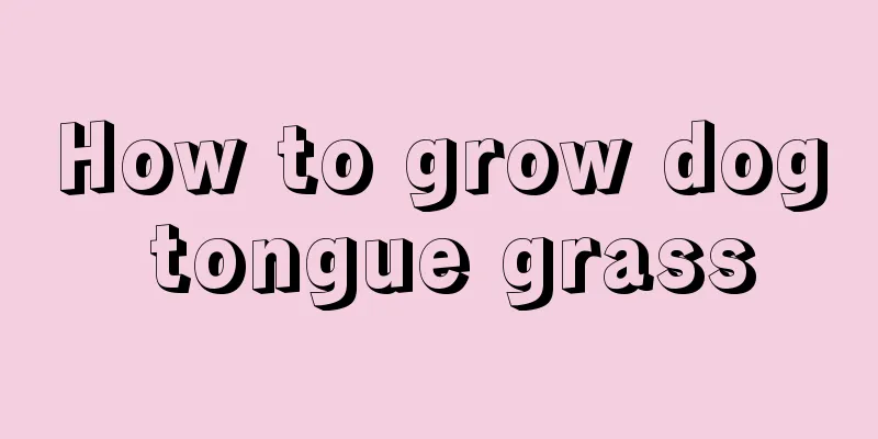 How to grow dog tongue grass