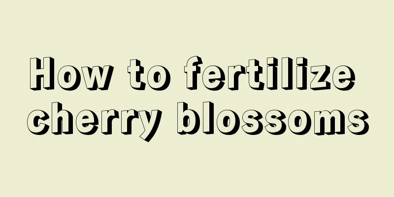 How to fertilize cherry blossoms