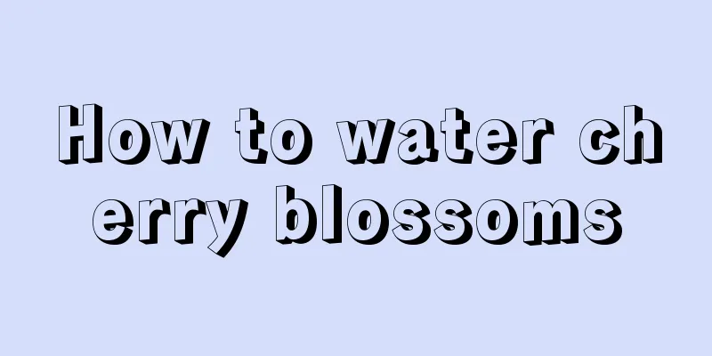 How to water cherry blossoms