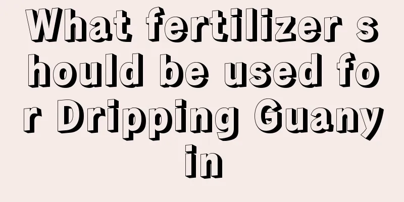 What fertilizer should be used for Dripping Guanyin