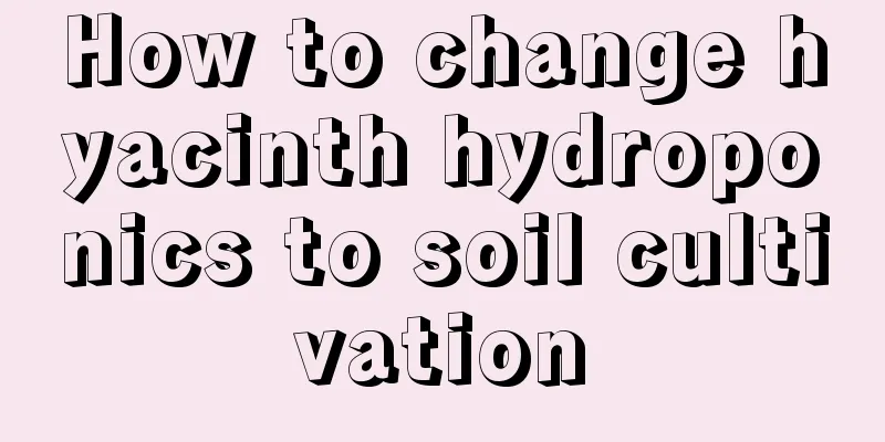 How to change hyacinth hydroponics to soil cultivation