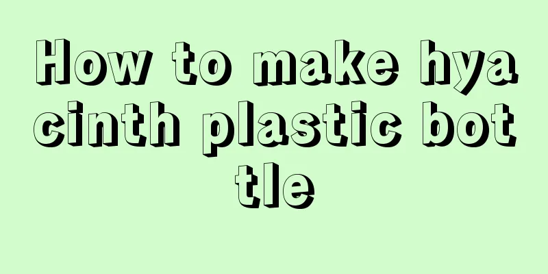 How to make hyacinth plastic bottle