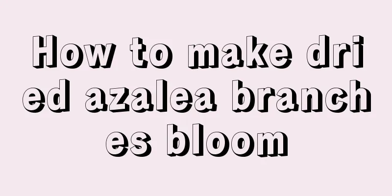 How to make dried azalea branches bloom