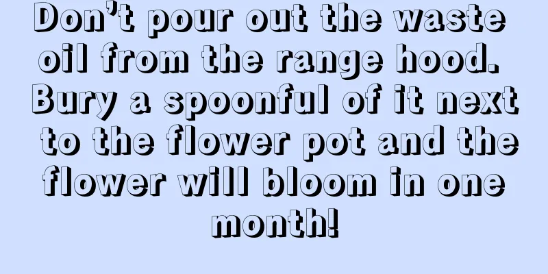 Don’t pour out the waste oil from the range hood. Bury a spoonful of it next to the flower pot and the flower will bloom in one month!