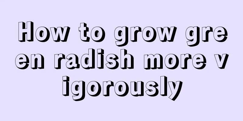 How to grow green radish more vigorously