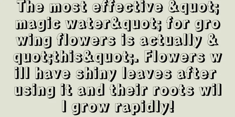 The most effective "magic water" for growing flowers is actually "this". Flowers will have shiny leaves after using it and their roots will grow rapidly!