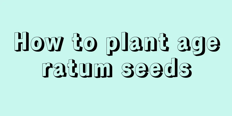 How to plant ageratum seeds