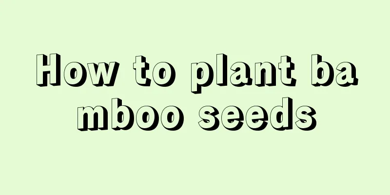 How to plant bamboo seeds