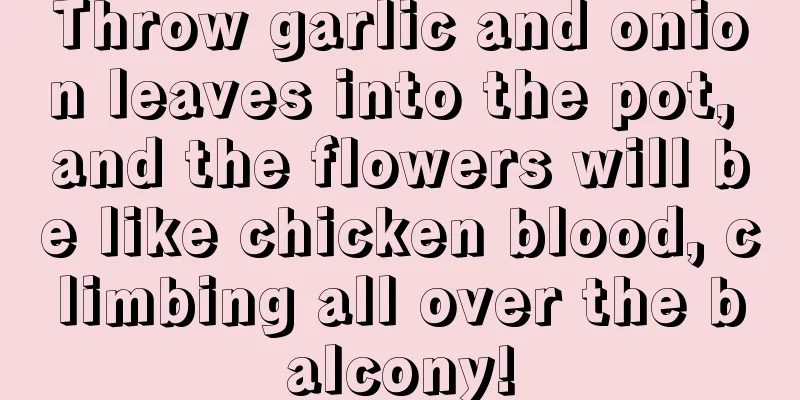 Throw garlic and onion leaves into the pot, and the flowers will be like chicken blood, climbing all over the balcony!