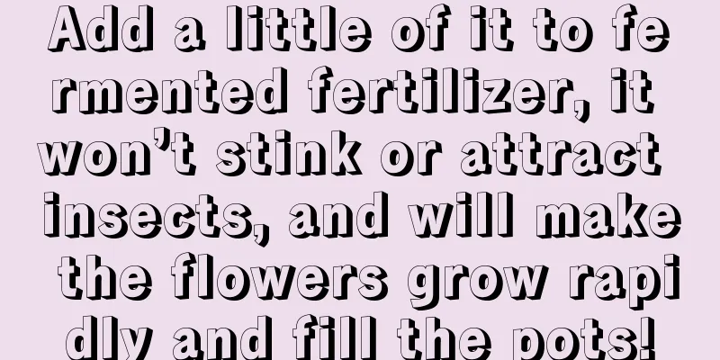 Add a little of it to fermented fertilizer, it won’t stink or attract insects, and will make the flowers grow rapidly and fill the pots!