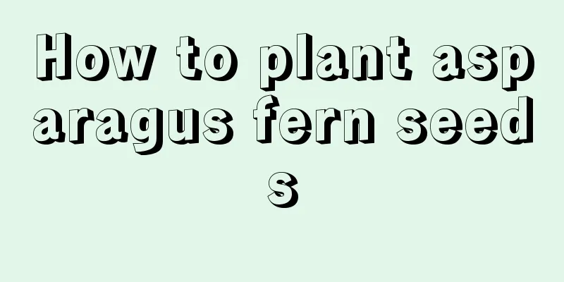 How to plant asparagus fern seeds