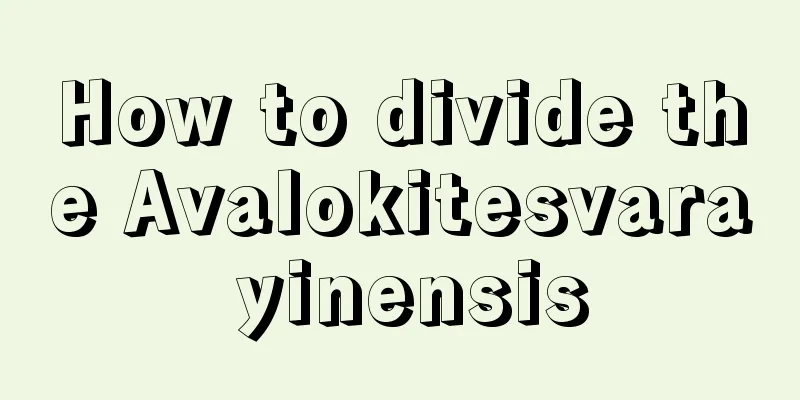 How to divide the Avalokitesvara yinensis