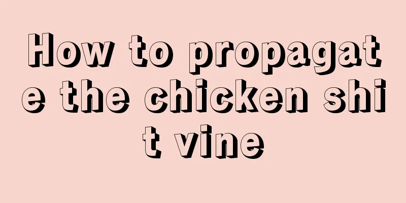 How to propagate the chicken shit vine