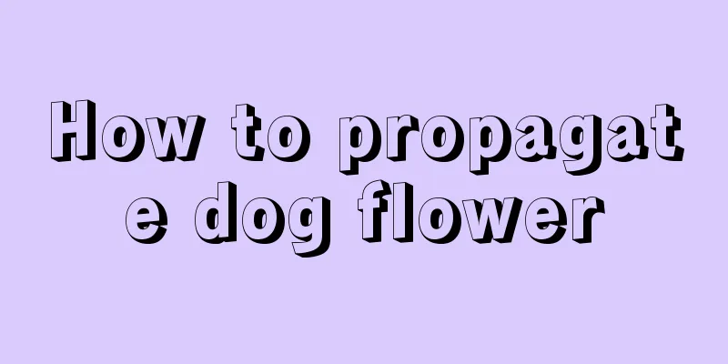 How to propagate dog flower