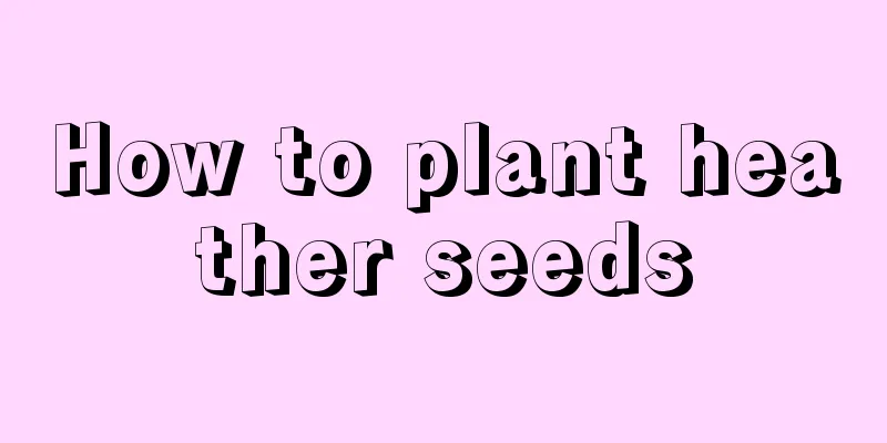 How to plant heather seeds