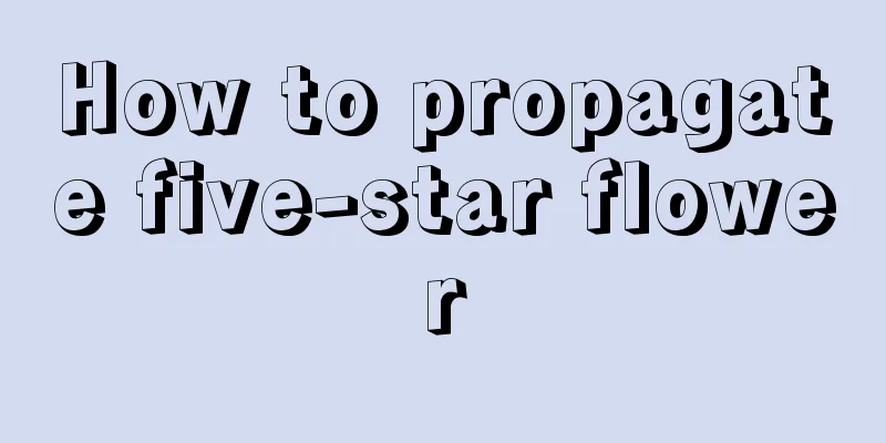 How to propagate five-star flower