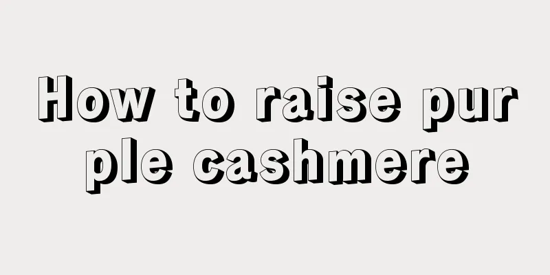 How to raise purple cashmere