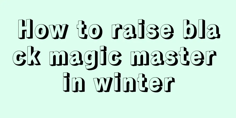 How to raise black magic master in winter