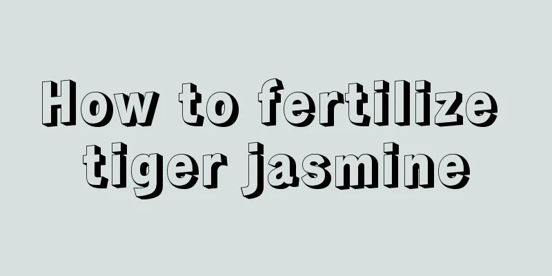 How to fertilize tiger jasmine