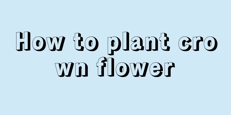 How to plant crown flower