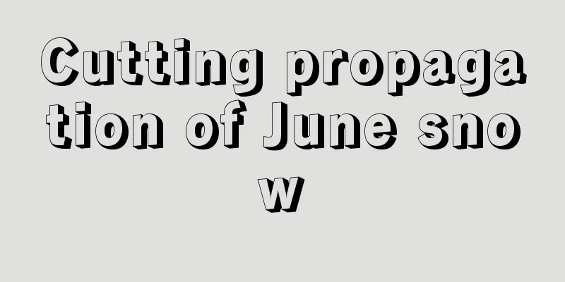 Cutting propagation of June snow