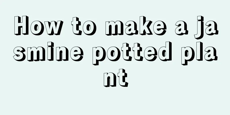 How to make a jasmine potted plant