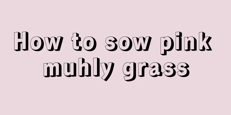 How to sow pink muhly grass