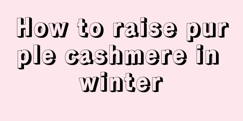 How to raise purple cashmere in winter