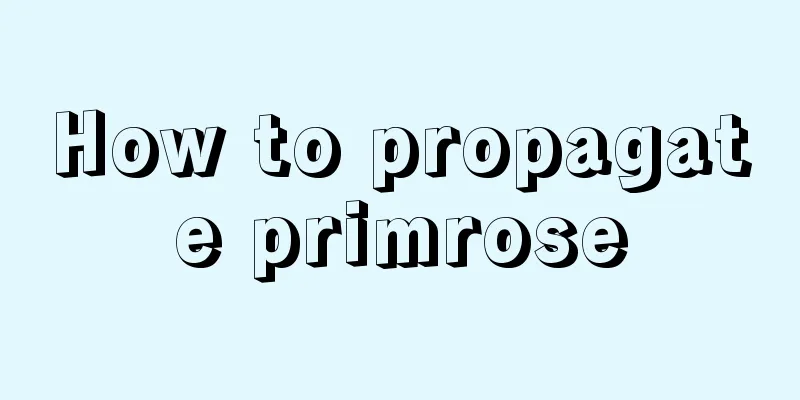 How to propagate primrose