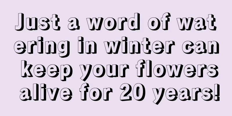 Just a word of watering in winter can keep your flowers alive for 20 years!