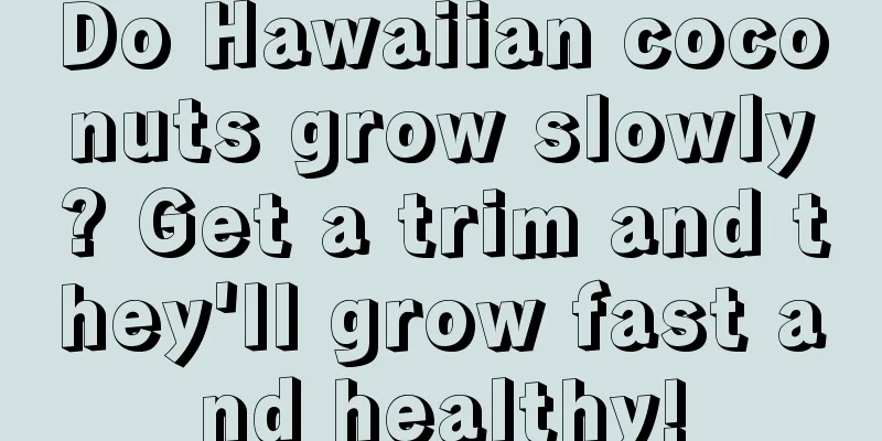 Do Hawaiian coconuts grow slowly? Get a trim and they'll grow fast and healthy!