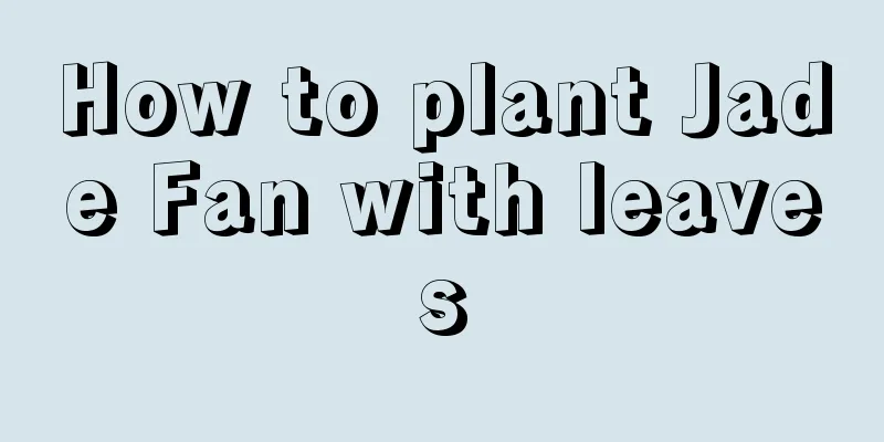 How to plant Jade Fan with leaves