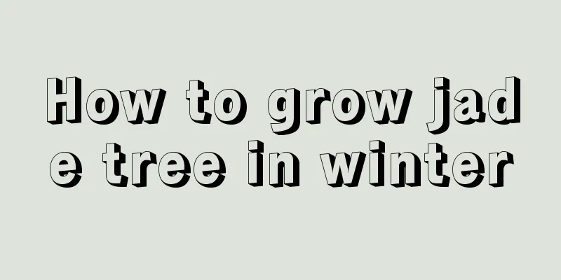 How to grow jade tree in winter