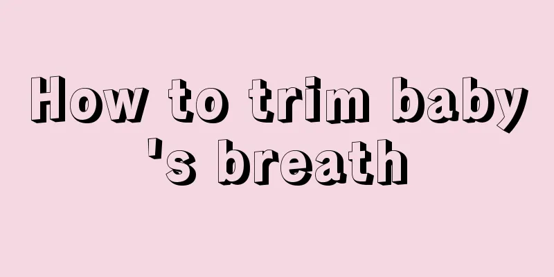 How to trim baby's breath