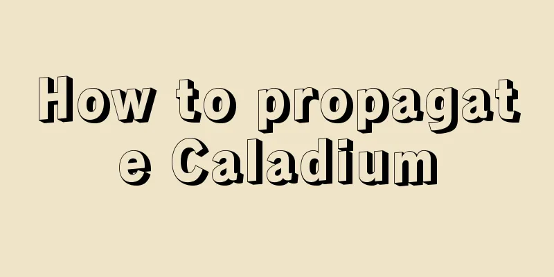 How to propagate Caladium