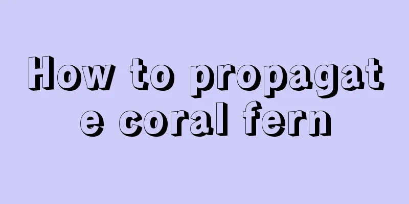 How to propagate coral fern