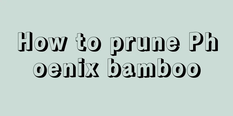 How to prune Phoenix bamboo