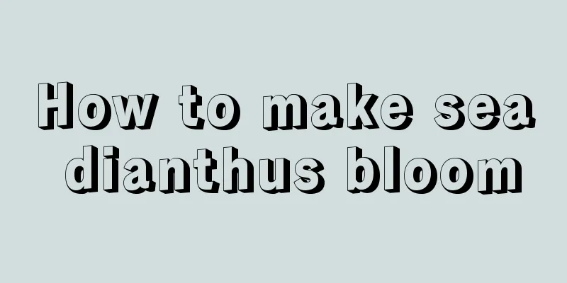 How to make sea dianthus bloom