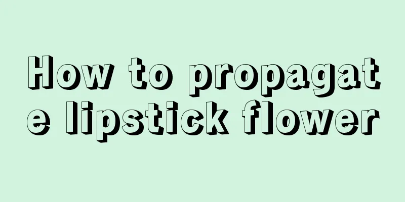 How to propagate lipstick flower