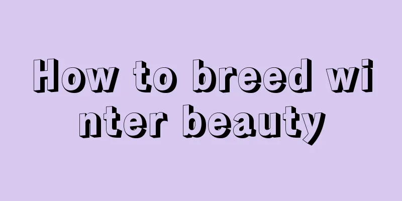 How to breed winter beauty