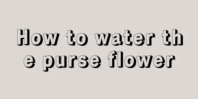 How to water the purse flower